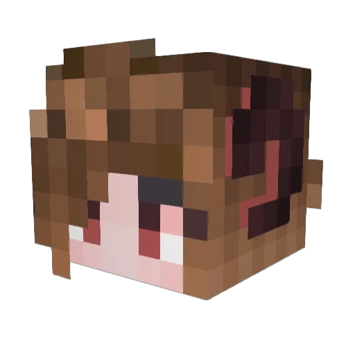 DeShade9 Minecraft avatar head, 3D render