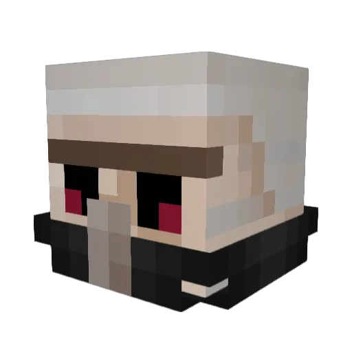 DeSquare_Tim Minecraft avatar head, 3D render
