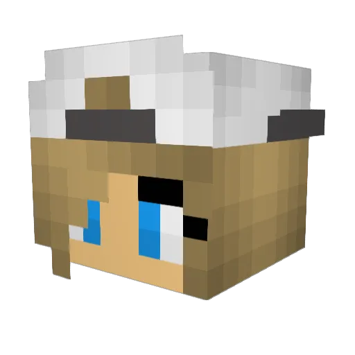 DeStelarRapierSr Minecraft avatar head, 3D render