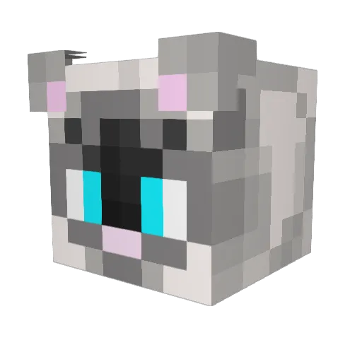 DeStr0_CZ Minecraft avatar head, 3D render