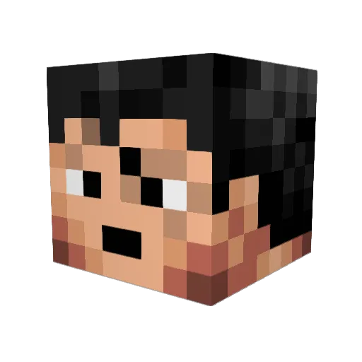 DeVakman Minecraft avatar head, 3D render