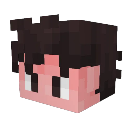 DeVaughn476 Minecraft avatar head, 3D render