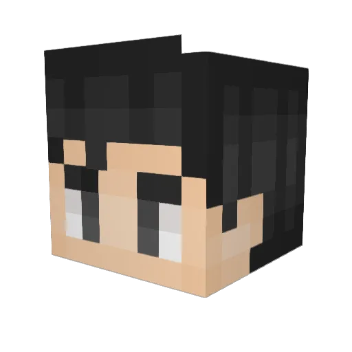 DeZZoVeR Minecraft avatar head, 3D render