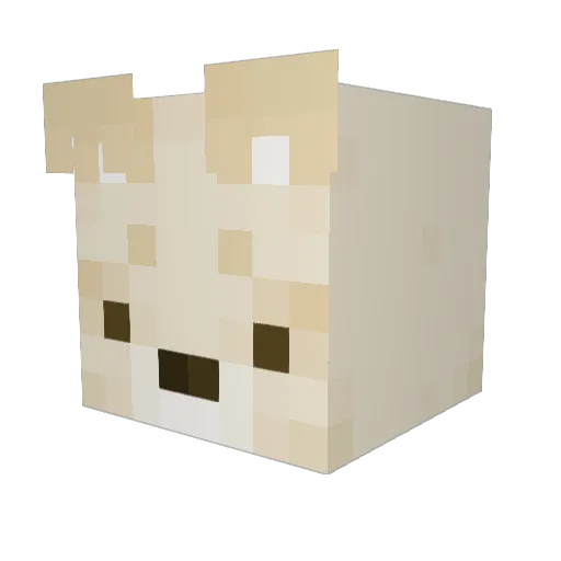 De_Aanvaller Minecraft avatar head, 3D render