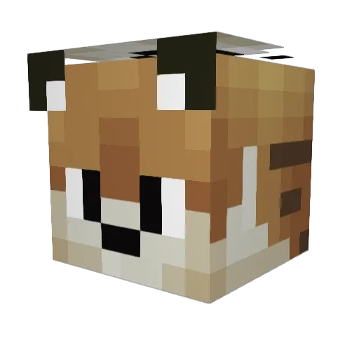 De_Pjoes Minecraft avatar head, 3D render