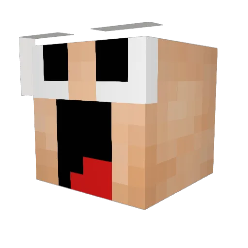 De_Schelle Minecraft avatar head, 3D render