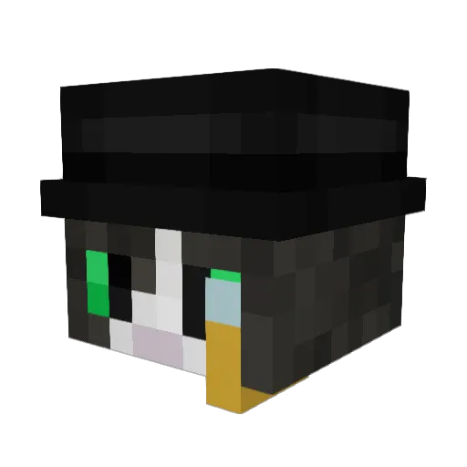 De_bemoste_land Minecraft avatar head, 3D render