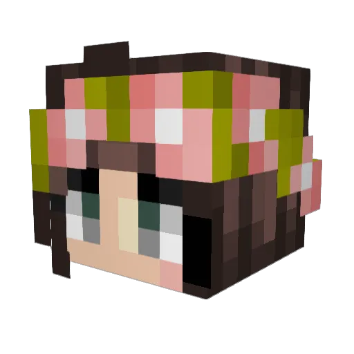 De_equation Minecraft avatar head, 3D render