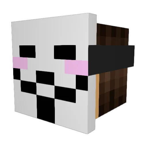 DeaZis1 Minecraft avatar head, 3D render
