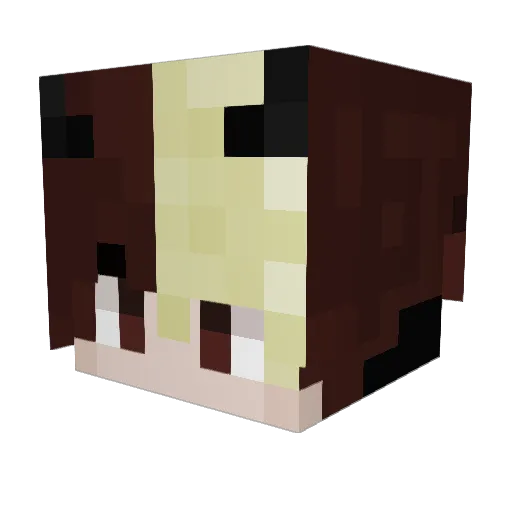 DeadAlex3205 Minecraft avatar head, 3D render