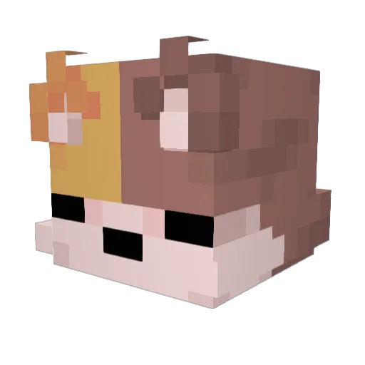 DeadBoi_8251 Minecraft avatar head, 3D render