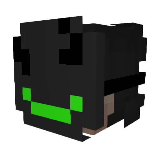 DeadBoyBirdie Minecraft avatar head, 3D render