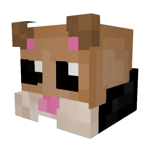 DeadDawn18 Minecraft avatar head, 3D render