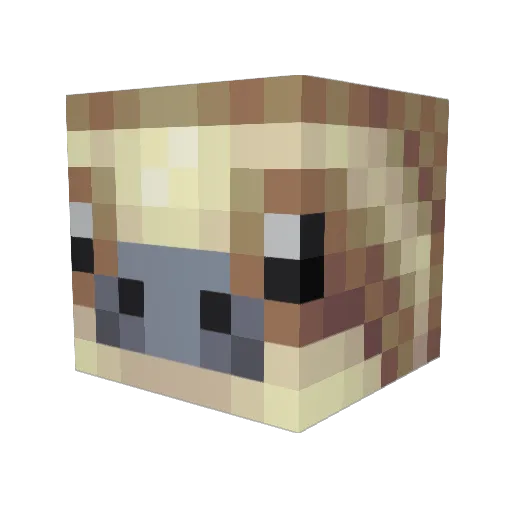 DeadDegrees Minecraft avatar head, 3D render