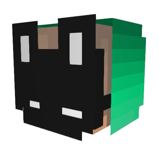 DeadDragon05 Minecraft avatar head, 3D render