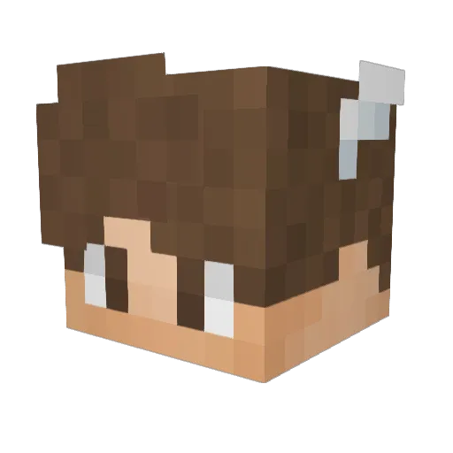 DeadForcing Minecraft avatar head, 3D render