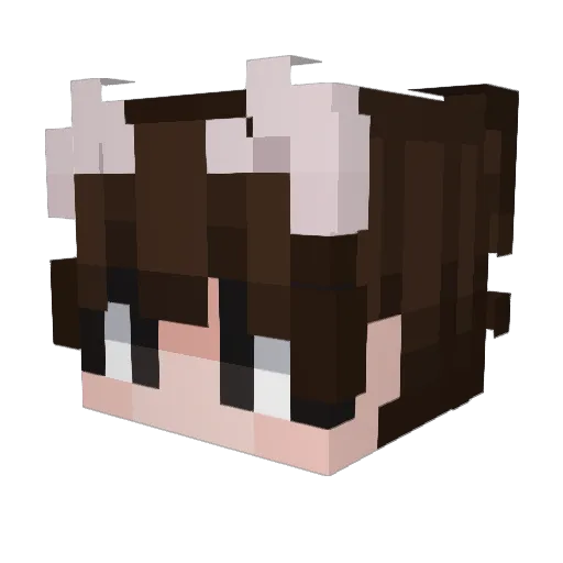 DeadHead1971 Minecraft avatar head, 3D render