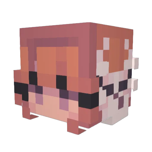 DeadNether Minecraft avatar head, 3D render