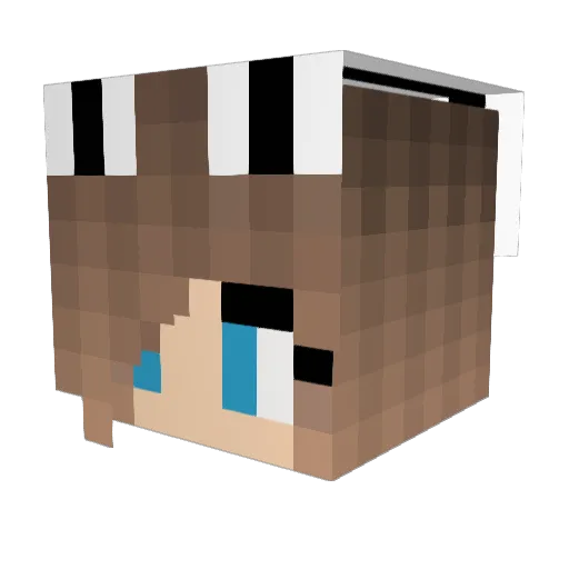 DeadRainbows Minecraft avatar head, 3D render