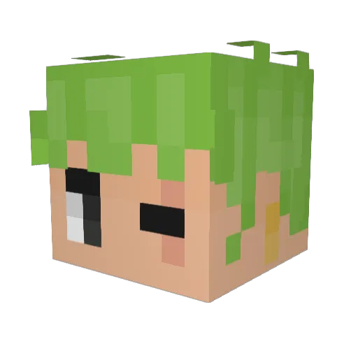 DeadShadow147 Minecraft avatar head, 3D render