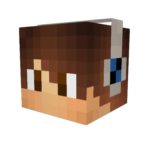 DeadSky305 Minecraft avatar head, 3D render