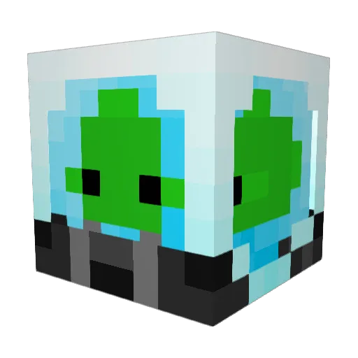 DeadTurtles9059 Minecraft avatar head, 3D render