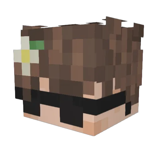 Dead_Fish888 Minecraft avatar head, 3D render