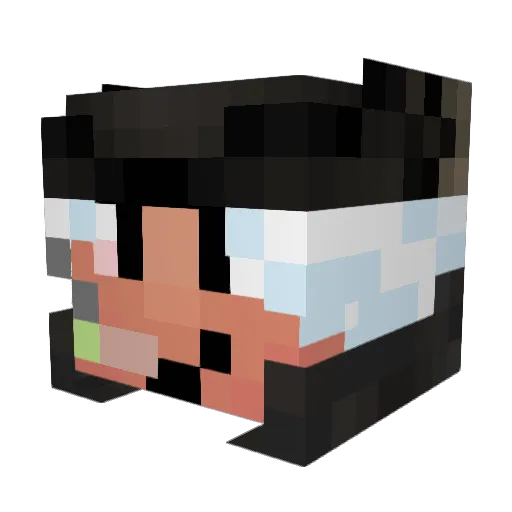 Deadcola666 Minecraft avatar head, 3D render