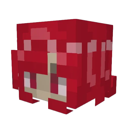 Deadegidos Minecraft avatar head, 3D render