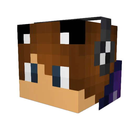 DeadeyeGnome Minecraft avatar head, 3D render