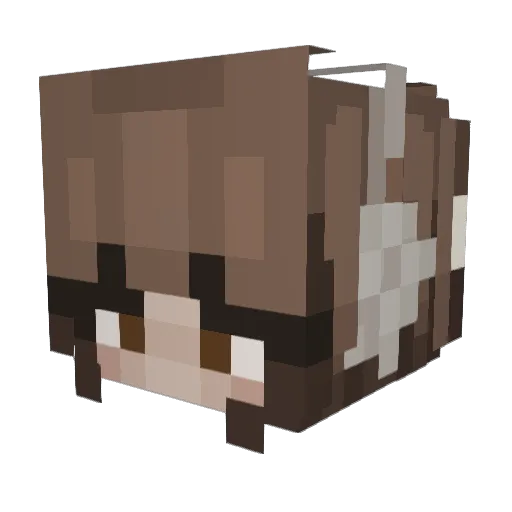 Deadeyetired Minecraft avatar head, 3D render