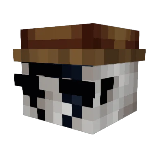 DeadliestElement Minecraft avatar head, 3D render