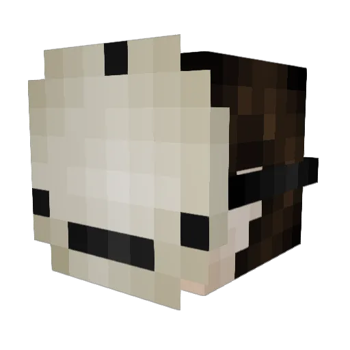Deadlock_MC Minecraft avatar head, 3D render