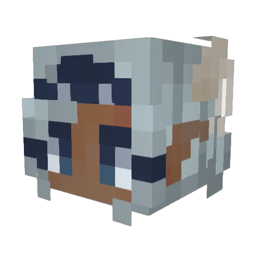 DeadlyBear321 Minecraft avatar head, 3D render