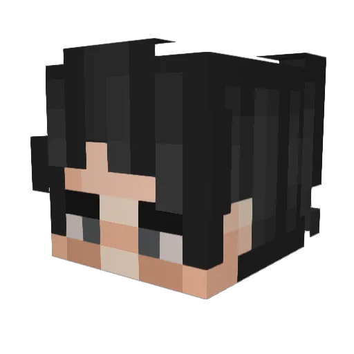 DeadlyBirdx Minecraft avatar head, 3D render