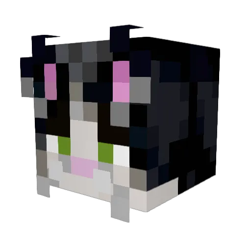 DeadlyCB44 Minecraft avatar head, 3D render