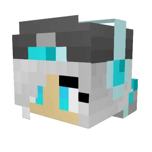 DeadlyCupcakef Minecraft avatar head, 3D render