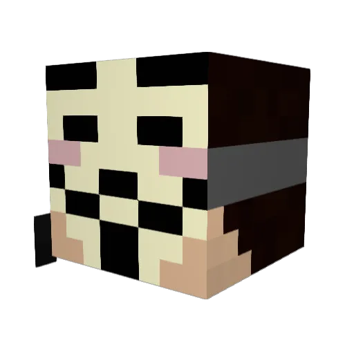 DeadlyDodo__ Minecraft avatar head, 3D render
