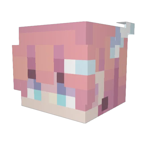 DeadlyEkitten69 Minecraft avatar head, 3D render