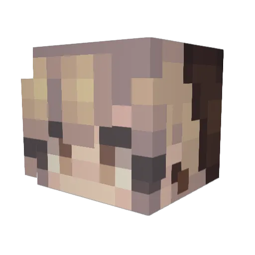 DeadlyKitten693 Minecraft avatar head, 3D render