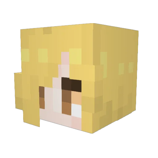 DeadlyKitten9000 Minecraft avatar head, 3D render