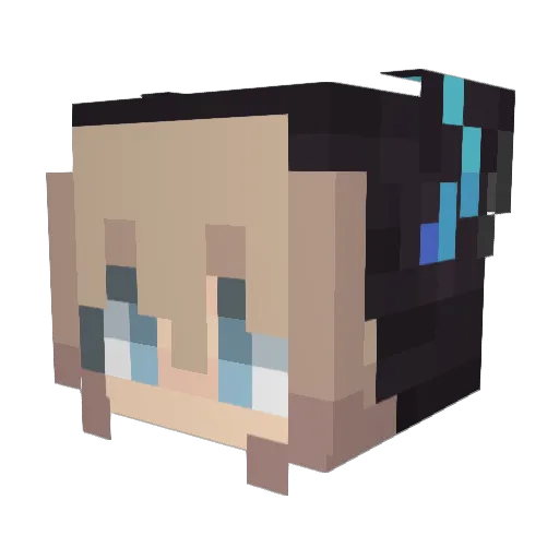 DeadlyNinja53 Minecraft avatar head, 3D render