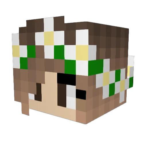 DeadlyNoodle Minecraft avatar head, 3D render