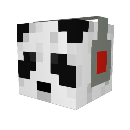 Deadly_Pickle123 Minecraft avatar head, 3D render