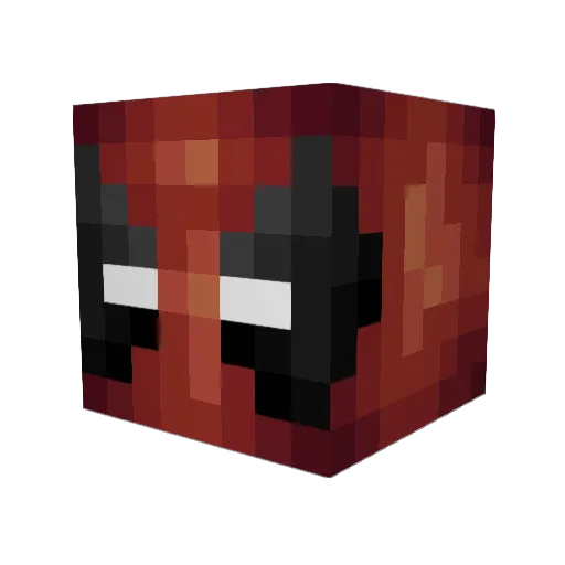 Deadlyagent007 Minecraft avatar head, 3D render