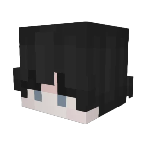 Deadsky7500 Minecraft avatar head, 3D render