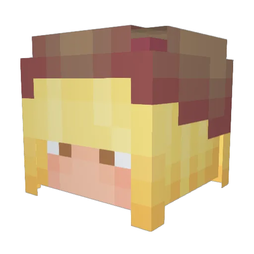 DealEmil Minecraft avatar head, 3D render