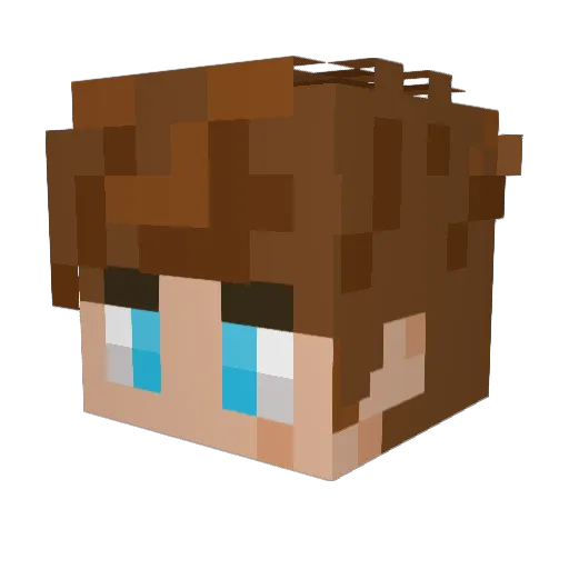 DealingDrugs Minecraft avatar head, 3D render