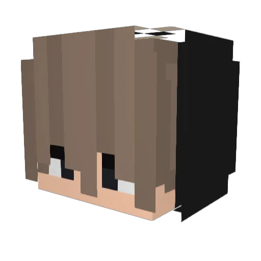 DealwithFaapro Minecraft avatar head, 3D render