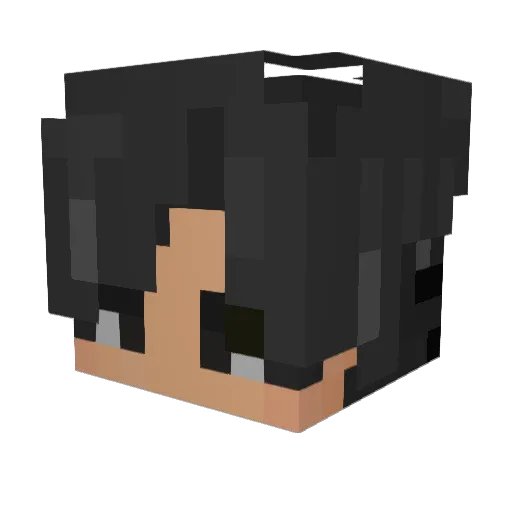Dean343 Minecraft avatar head, 3D render